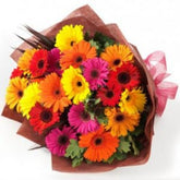 20 MIXED GERBERAS BUNCH